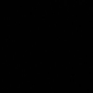 Meet your Posher, Riley